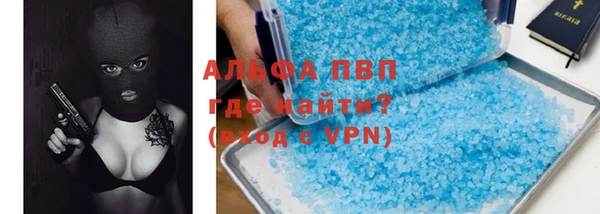 прущие грибы Вязьма