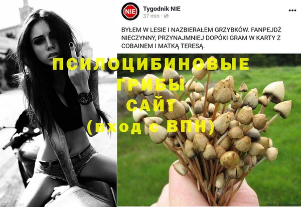 мдпв Вязники
