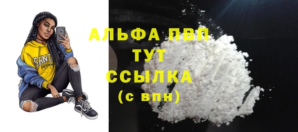 прущие грибы Вязьма