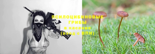 каннабис Горнозаводск