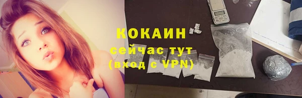 прущие грибы Вязьма