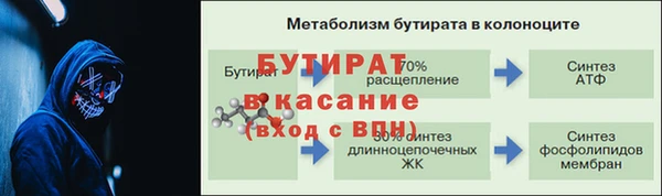 прущие грибы Вязьма