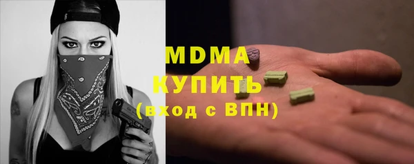 прущие грибы Вязьма