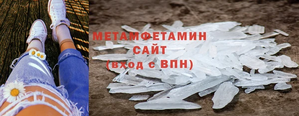 прущие грибы Вязьма