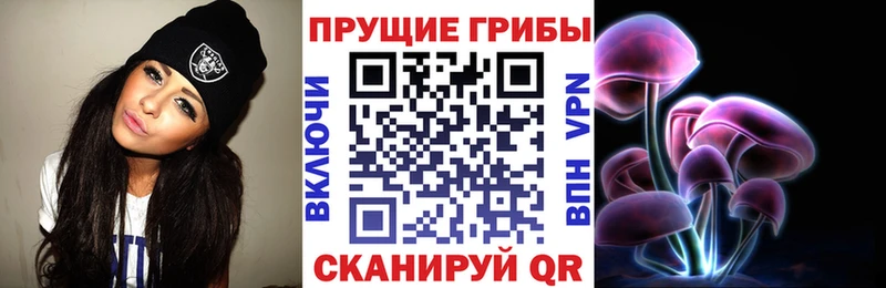 Псилоцибиновые грибы мицелий  Купить закладки  Макарьев 